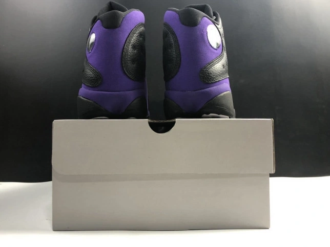 13 Purple DJ5982-015 Air Retro  Jordan Court 1006